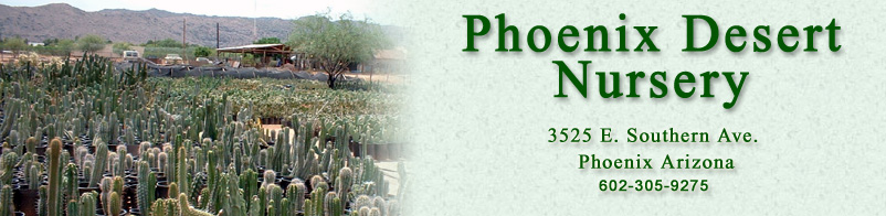 Phoenix Desert Nursery